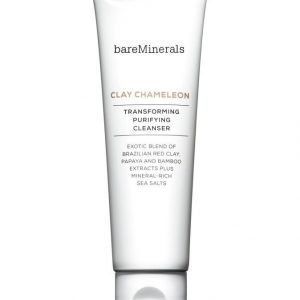 Bare Minerals Clay Chameleon Transforming Purifying Cleanser Puhdistusvaahto 120 ml