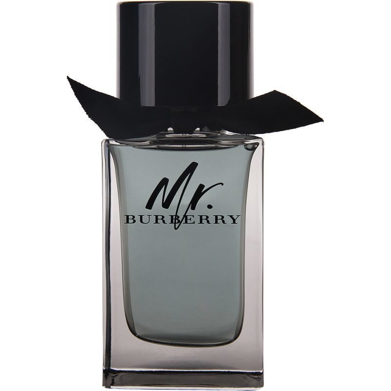 Burberry Mr. Burberry EdT 100ml