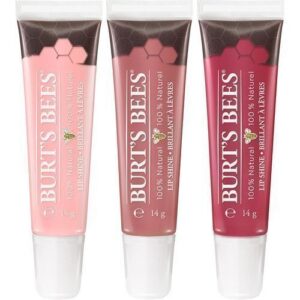 Burt's Bees 100% Natural Lip Shine 060 Smooch