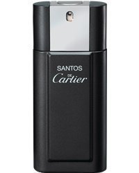 Cartier Santos de Cartier EdT 100ml