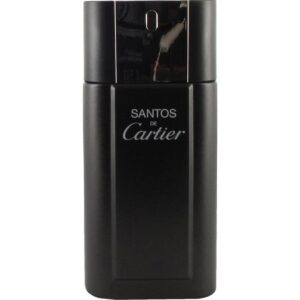 Cartier Santos de Cartier EdT EdT 100ml