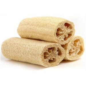 Cut Luffa Pesusieni