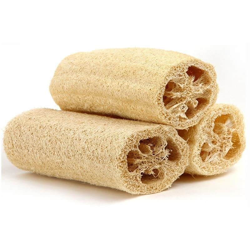 Cut Luffa Pesusieni