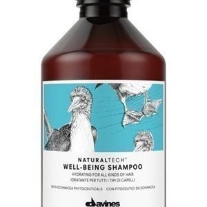 Davines Well Being Shampoo
