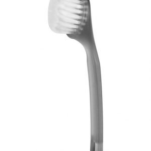 Dermalogica Exfoliant Face Brush Kuorintaharja