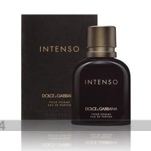 Dolce & Gabbana Dolce & Gabbana Pour Homme Intenso Edp 75ml
