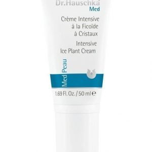 Dr. Hauschka Jääruoho Tehovoide 50 ml