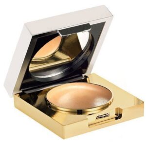 Elizabeth Arden Flawless Finish Maximum Coverage Concealer Light