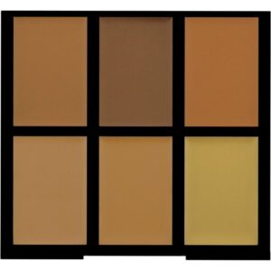 Freedom Makeup London Pro Conceal & Correct Medium/Dark 6 Cream Concealing shades