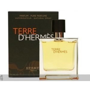 Hermes Hermes Terre D'Hermes Edt 100ml