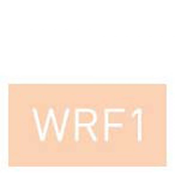 Korres Natural Wild Rose Brightening Foundation Various Shades Rf1
