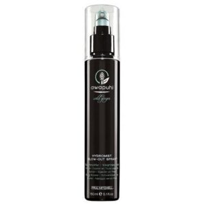Paul Mitchell Awapuhi Wild Ginger HydroMist Blow-Out Spray