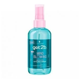 Schwarzkopf G2b Mind Blowing Dry Spray