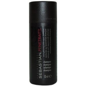 Sebastian Professional Penetraitt Shampoo