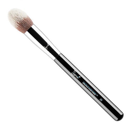 Sigma Concealer Blend Kabuki F79