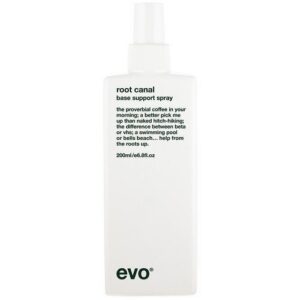 evo Root Canal Base Support Spray